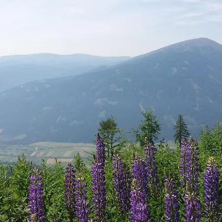 Mountain View With Waterbed