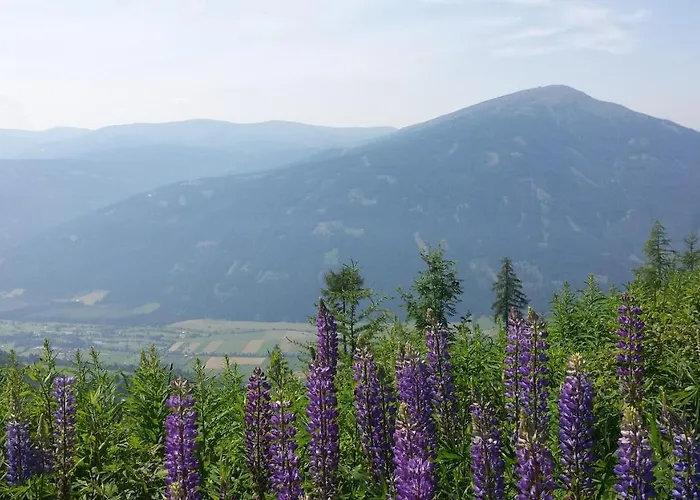 Mountain View With Waterbed